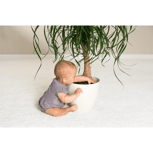 Reer Plantenbeschermingsnet Ø30cm Zwart - Afbeelding 2