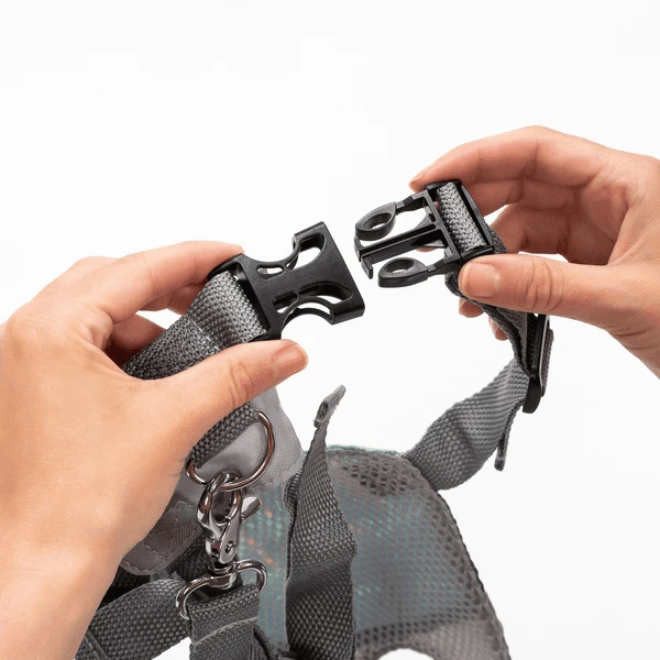 Reer TravelkidGo Loop- En Beschermharnas Voor Kinderen - Afbeelding 5